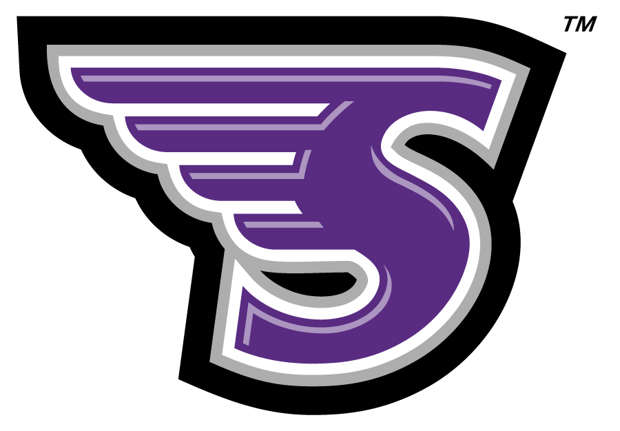 Stonehill Skyhawks 2005-2017 Secondary Logo diy DTF decal sticker